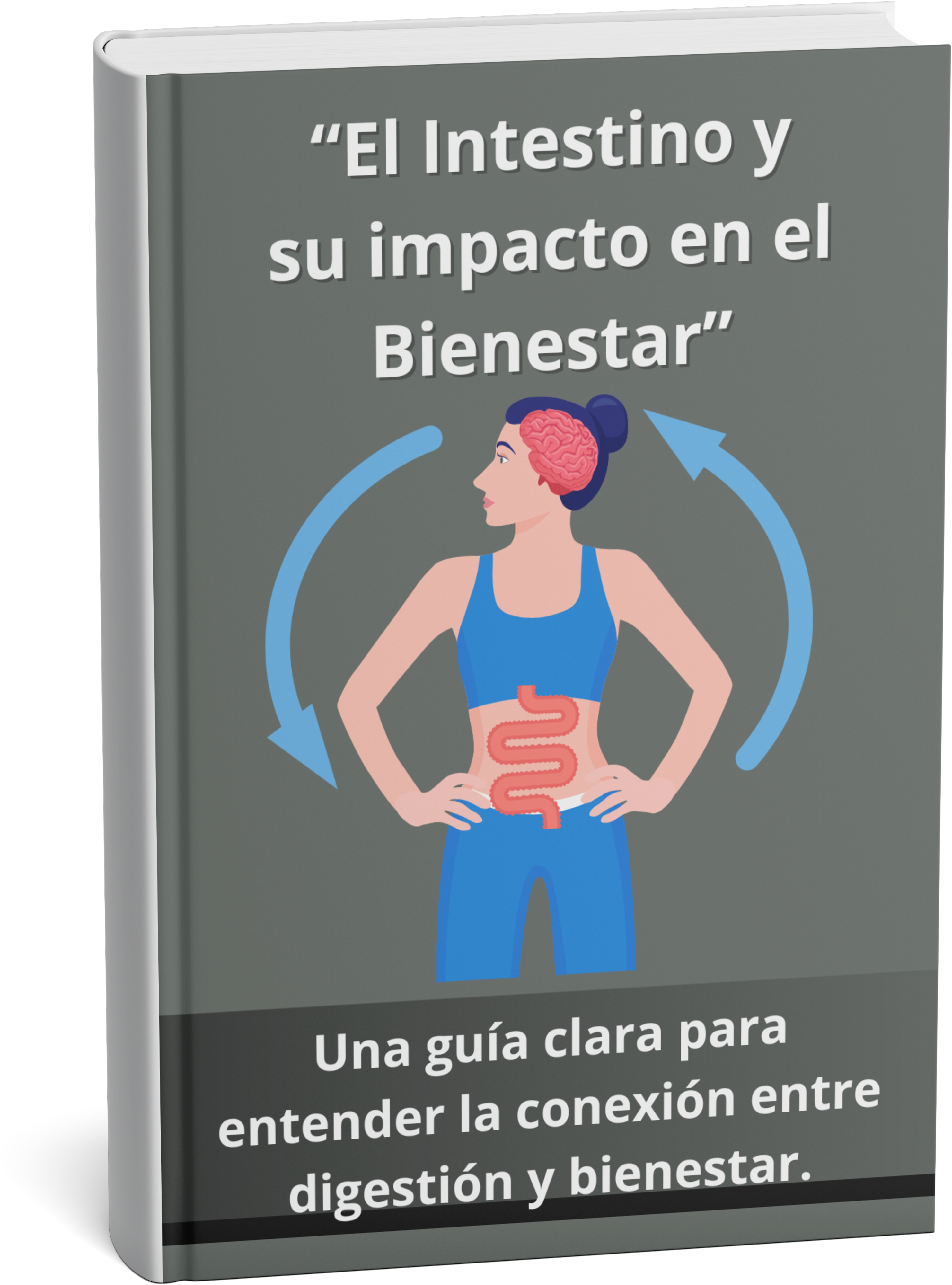 El Intestino y su Impacto en el Bienestar